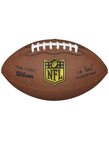 Wilson NFL Mini Football 1
